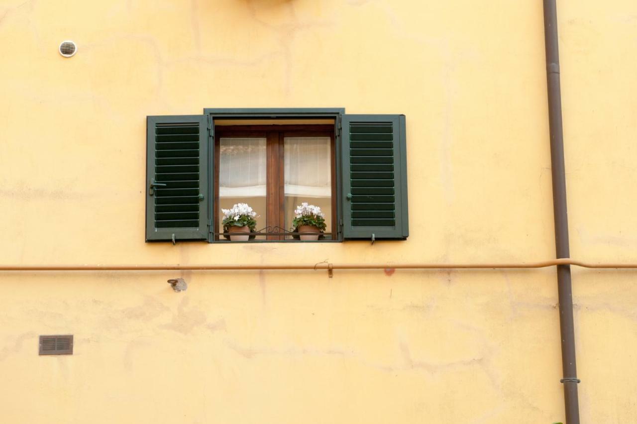 Little House Appartamento